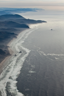 coastal mist